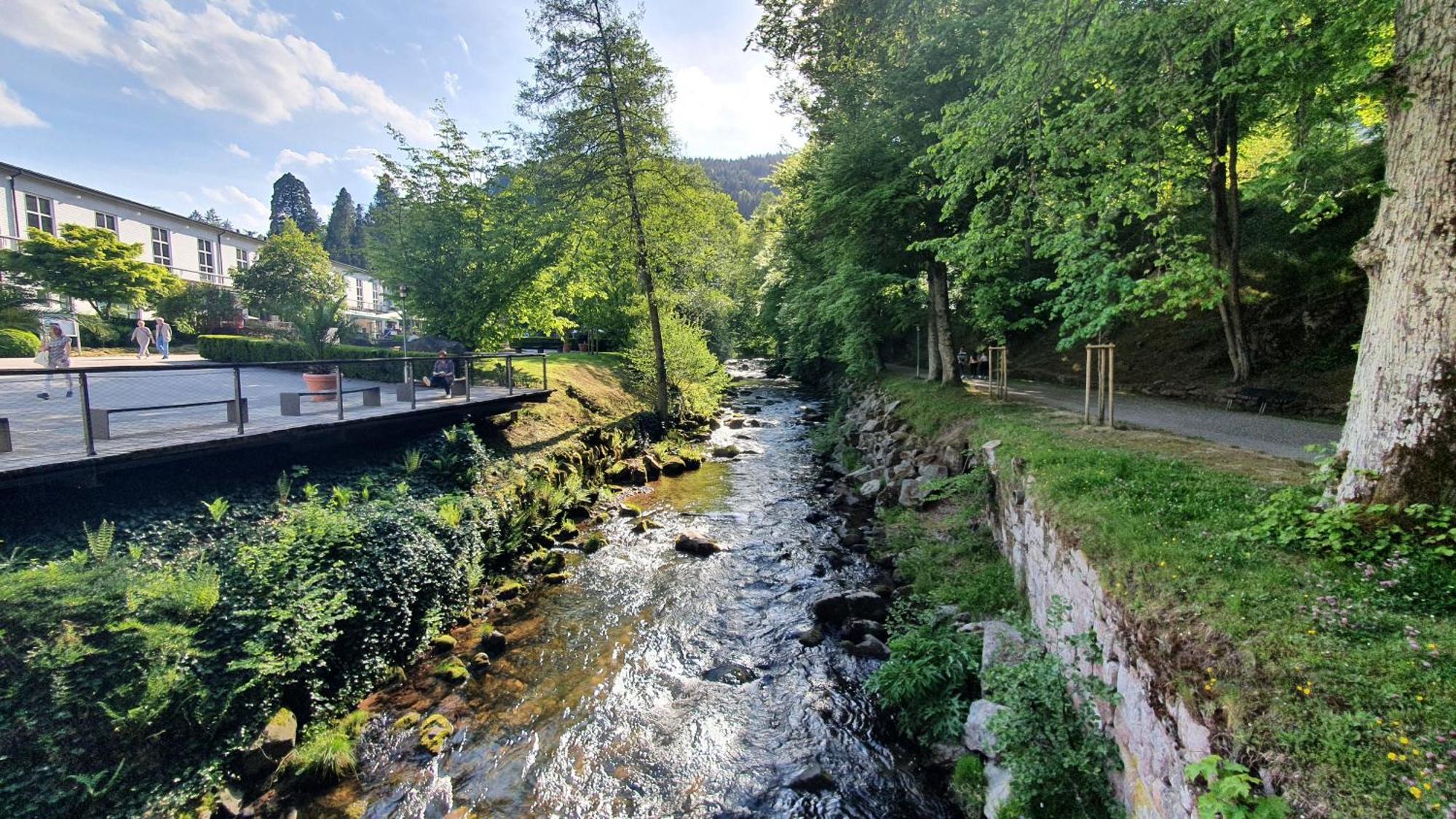 Ferienwohnung Kuckucksnest Bad Wildbad Luaran gambar